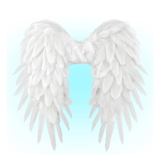 Doplňky - Widmann Anělská křídla bílá