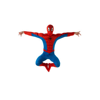 Kostýmy na karneval - Kostým Spiderman Muscle Chest - licence D M