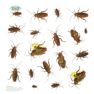 Doplňky - Dekorace - 20 samolepících švábů