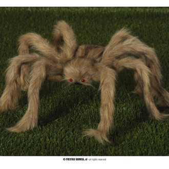 Doplňky - Chlupatý pavouk 60 cm