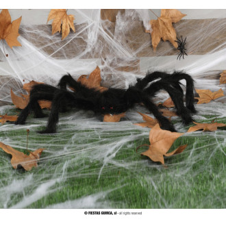 Doplňky - Chlupatý černý pavouk 60 cm
