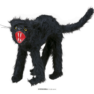 Doplňky - Černá kočka