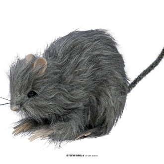 Doplňky - Malý potkan