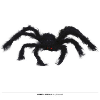 Doplňky - Černý pavouk