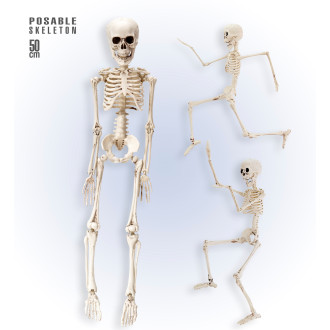 Doplňky - Widmann Kostra - Skeleton 50 cm