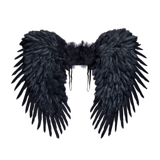 Doplňky - Widmann Černá křídla péřová 80x60 cm