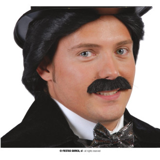 Kníry, vousy - Knír - malý černý