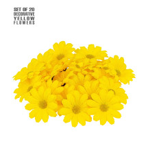Widmann Sad 20 ks dekorativních žlutých květů