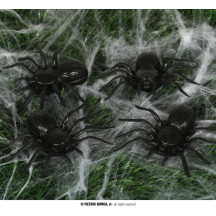 Pavouci černí - 4 kusy