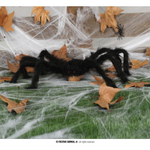 Chlupatý černý pavouk 60 cm