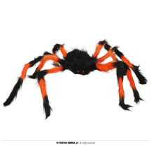 Černooranžový pavouk