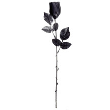 Widmann Černá růže 44-48 cm