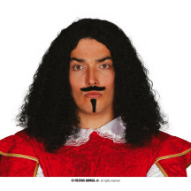 Paruka Ludvík