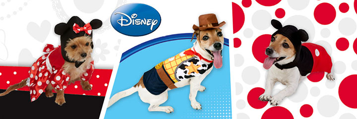 Kostýmy pro psy Disney